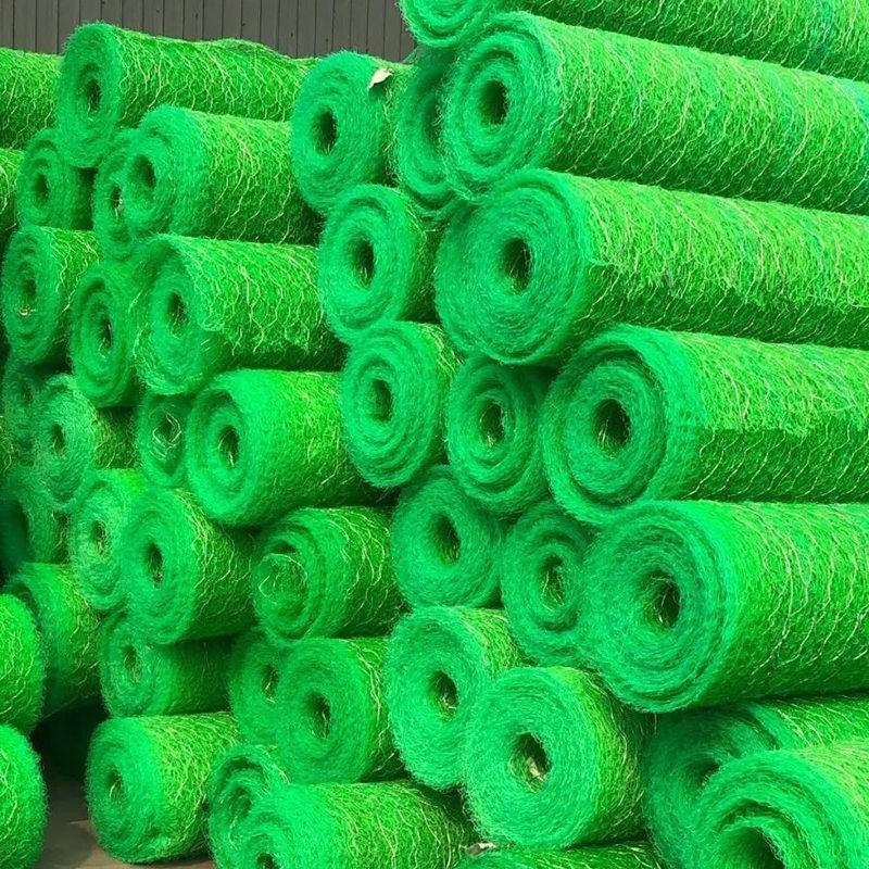 product-800-800